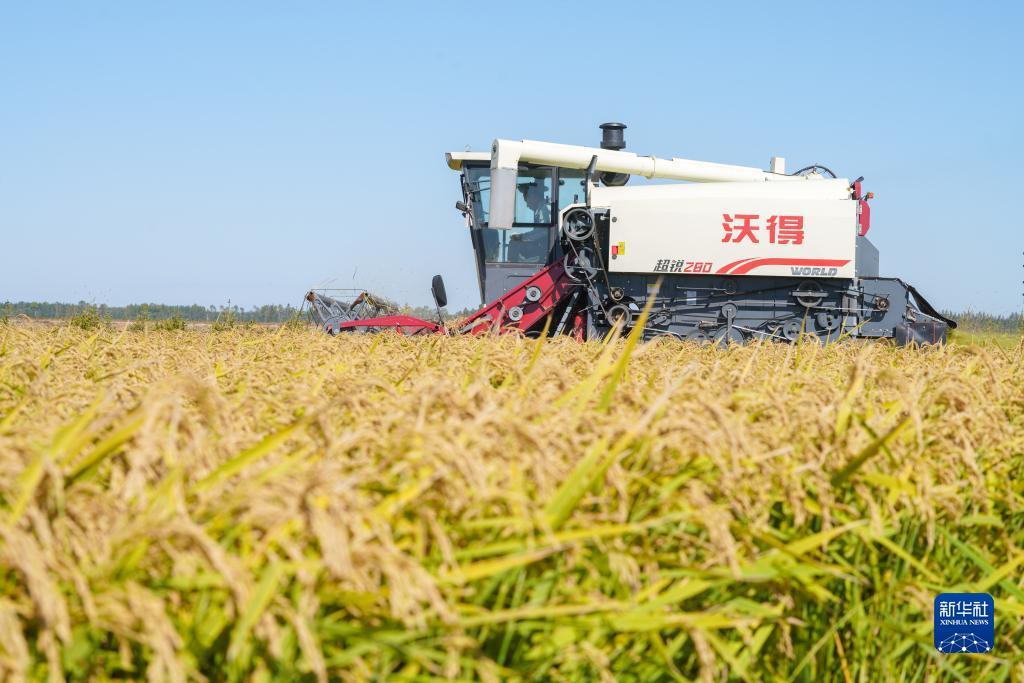 奥门金沙ag